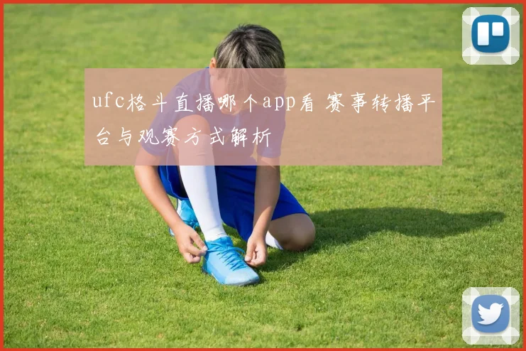 ufc格斗直播哪个app看 赛事转播平台与观赛方式解析